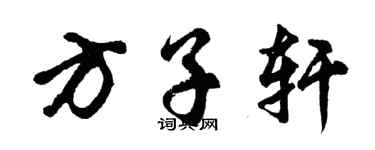 胡問遂方子軒行書個性簽名怎么寫