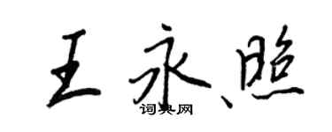 王正良王永照行書個性簽名怎么寫