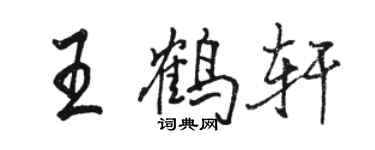 駱恆光王鶴軒行書個性簽名怎么寫