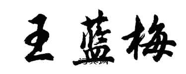 胡問遂王藍梅行書個性簽名怎么寫