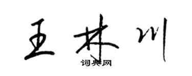 梁錦英王林川草書個性簽名怎么寫