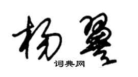 朱錫榮楊翼草書個性簽名怎么寫