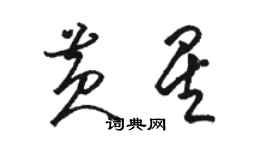 駱恆光黃星草書個性簽名怎么寫