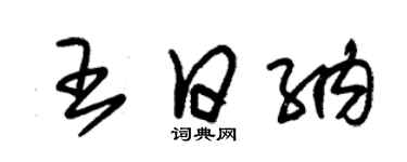 朱錫榮王日納草書個性簽名怎么寫