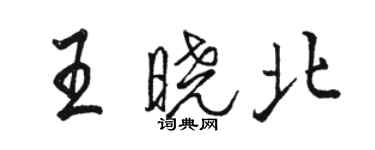 駱恆光王曉北行書個性簽名怎么寫