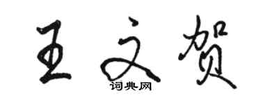 駱恆光王文賀行書個性簽名怎么寫