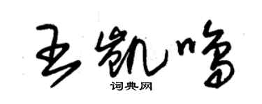 朱錫榮王凱鳴草書個性簽名怎么寫