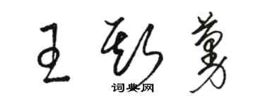 駱恆光王斯蔓草書個性簽名怎么寫