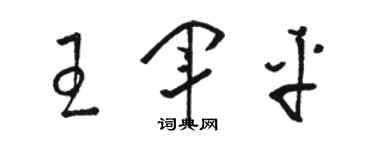 駱恆光王軍平草書個性簽名怎么寫