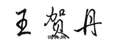 駱恆光王賀丹行書個性簽名怎么寫