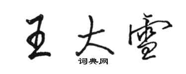 駱恆光王大雪行書個性簽名怎么寫