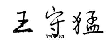 曾慶福王守猛行書個性簽名怎么寫
