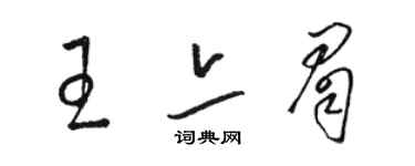 駱恆光王亦眉草書個性簽名怎么寫