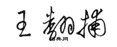 駱恆光王翻捕草書個性簽名怎么寫