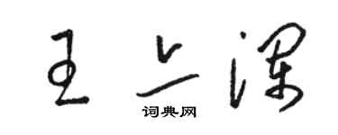 駱恆光王亦瀾草書個性簽名怎么寫