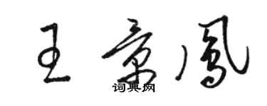 駱恆光王景鳳草書個性簽名怎么寫