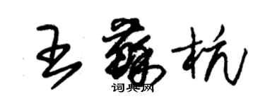 朱錫榮王蘇杭草書個性簽名怎么寫