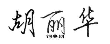 駱恆光胡麗華行書個性簽名怎么寫