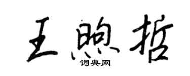 王正良王煦哲行書個性簽名怎么寫