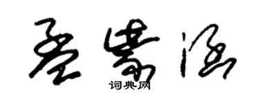 朱錫榮孟紫涵草書個性簽名怎么寫