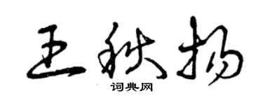 曾慶福王秋揚草書個性簽名怎么寫