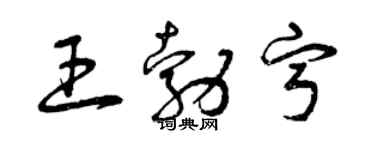 曾慶福王勃寧草書個性簽名怎么寫