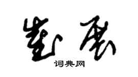朱錫榮崔展草書個性簽名怎么寫