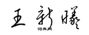 梁錦英王新曦草書個性簽名怎么寫