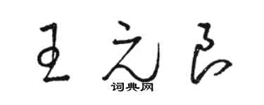 駱恆光王元良草書個性簽名怎么寫