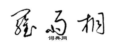 梁錦英羅雨桐草書個性簽名怎么寫