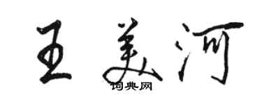 駱恆光王美河行書個性簽名怎么寫