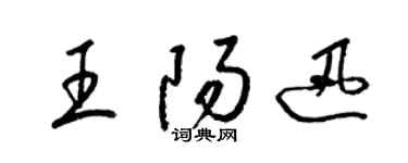 梁錦英王陽迅草書個性簽名怎么寫