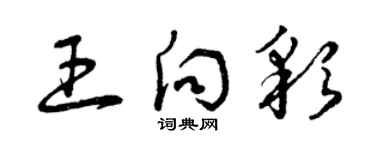 曾慶福王向彩草書個性簽名怎么寫