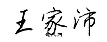 王正良王家沛行書個性簽名怎么寫