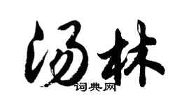 胡問遂湯林行書個性簽名怎么寫