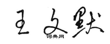 駱恆光王文默草書個性簽名怎么寫