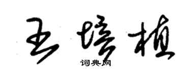 朱錫榮王培植草書個性簽名怎么寫