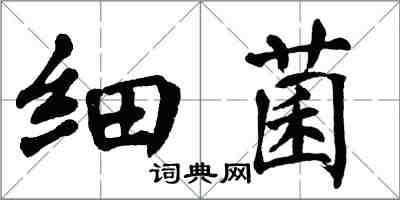 翁闓運細菌楷書怎么寫