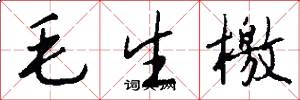 毛生檄怎么寫好看