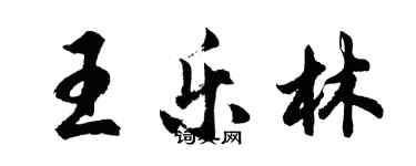 胡問遂王樂林行書個性簽名怎么寫