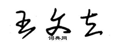 朱錫榮王文立草書個性簽名怎么寫