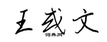 王正良王或文行書個性簽名怎么寫