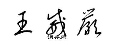 梁錦英王威嚴草書個性簽名怎么寫