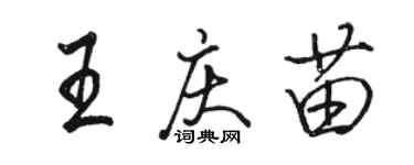駱恆光王慶苗行書個性簽名怎么寫