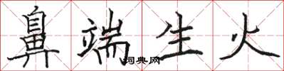 駱恆光鼻端生火楷書怎么寫