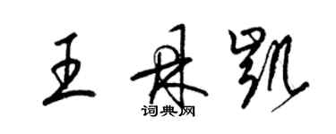 梁錦英王鼎凱草書個性簽名怎么寫