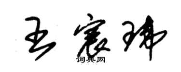 朱錫榮王宸瑋草書個性簽名怎么寫