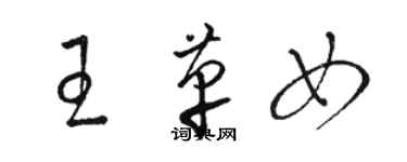 駱恆光王革女草書個性簽名怎么寫