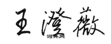 駱恆光王澄薇行書個性簽名怎么寫