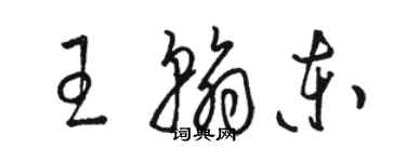 駱恆光王翰東草書個性簽名怎么寫